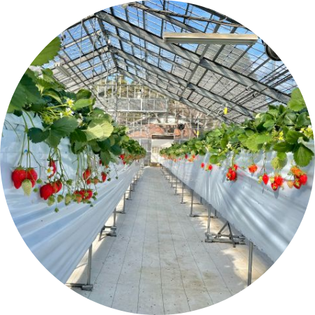 サービスについて